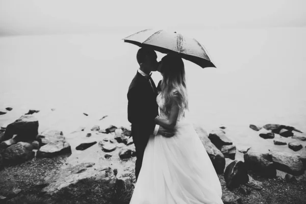 Perfect couple bride, groom posing and kissing in their wedding day — Stock Photo, Image