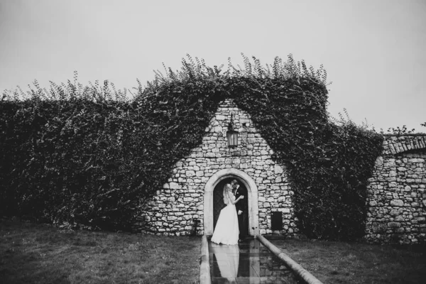 Schönes glückliches Hochzeitspaar, Braut mit langem weißen Kleid — Stockfoto