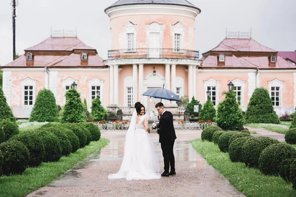Casal de casamento feliz andando em um parque botânico sob guarda-chuva enquanto chove . — Fotografia de Stock