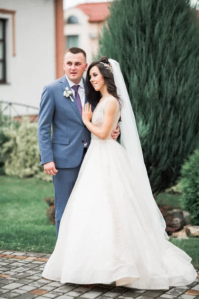 Casamento romântico momento, casal de recém-casados sorrindo retrato, noiva e noivo abraçando — Fotografia de Stock