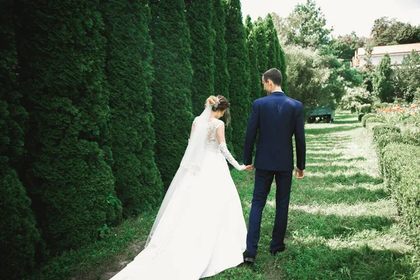 Gelukkig bruidspaar wandelen in een botanisch park — Stockfoto