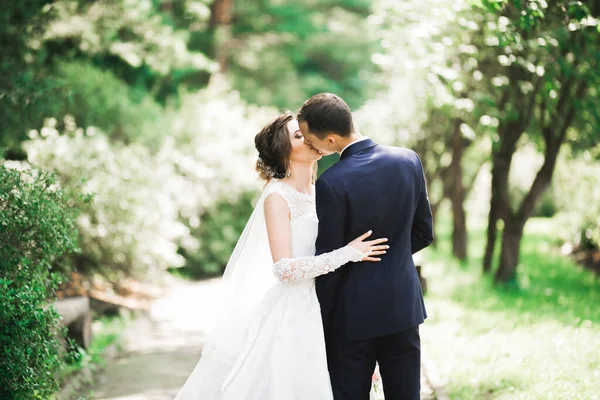 Bella sposa e lo sposo abbracciare e baciare il giorno del loro matrimonio all'aperto — Foto Stock