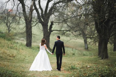 Botanik parkında yürüyen mutlu bir çift.