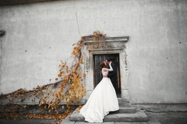 Güzel gelin ve damat evlendikleri gün kucaklaşıp öpüşüyorlar.