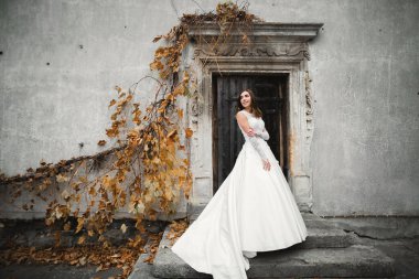 Gelinin güzel portresi moda gelinliği içinde tüylü, lüks makyaj ve saç stili.