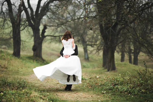 Romântico, conto de fadas, feliz casal recém-casado abraçando e beijando em um parque, árvores no fundo — Fotografia de Stock