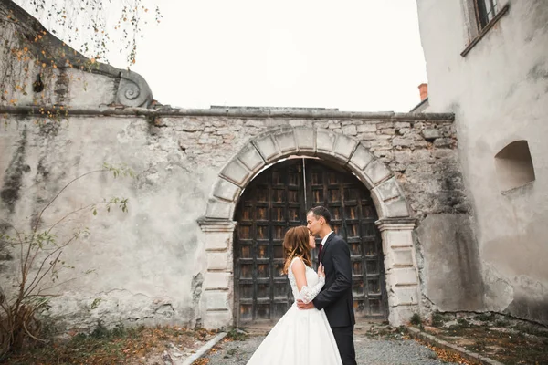 Romantik düğün anı, yeni evli çiftin gülümseyen portresi, gelin ve damadın kucaklaşması — Stok fotoğraf