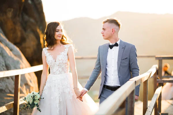 La pareja, la novia y el novio tomados de la mano en las montañas — Foto de Stock