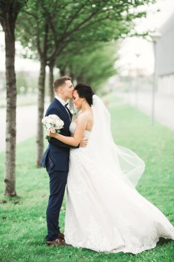 Güzel gelin ve damat evlendikleri gün kucaklaşıp öpüşüyorlar.