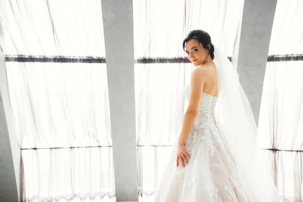 Mooie bruid dragen mode trouwjurk met veren met luxe genot make-up en kapsel, studio indoor fotoshoot — Stockfoto