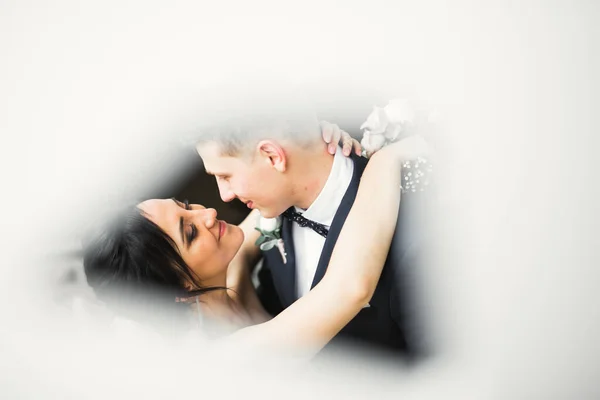 Beautiful bride and groom embracing and kissing on their wedding day — Stock Photo, Image