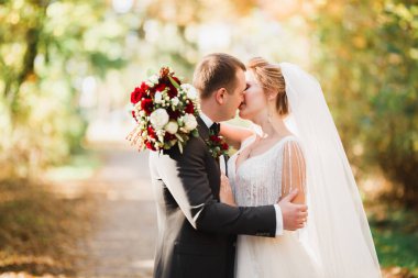 Romantik, peri masalı, mutlu yeni evli çift parkta sarılıp öpüşüyor, arka planda ağaçlar...