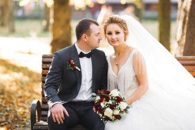 Romantik düğün anı, yeni evli çiftin gülümseyen portresi, gelin ve damadın kucaklaşması