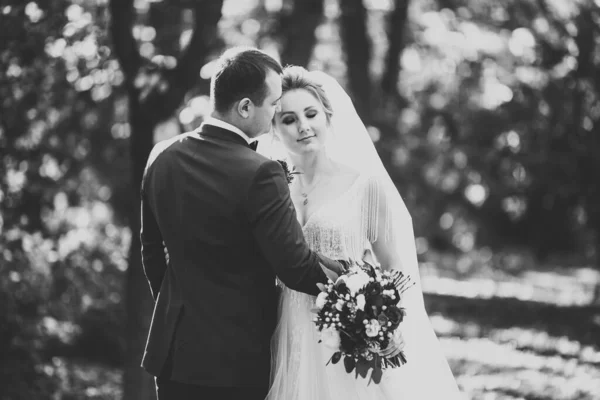 Romântico, conto de fadas, feliz casal recém-casado abraçando e beijando em um parque, árvores no fundo — Fotografia de Stock