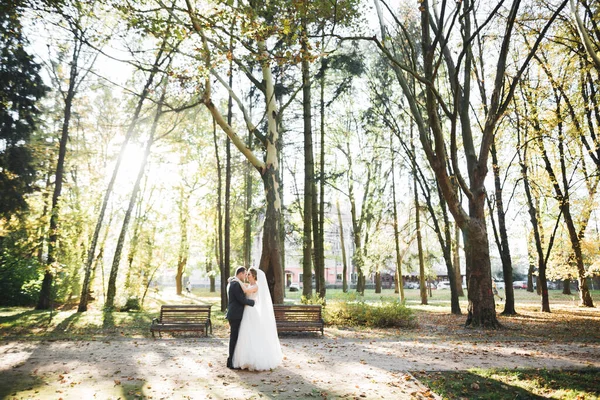 Romántico, cuento de hadas, feliz pareja recién casada abrazándose y besándose en un parque, árboles en el fondo —  Fotos de Stock