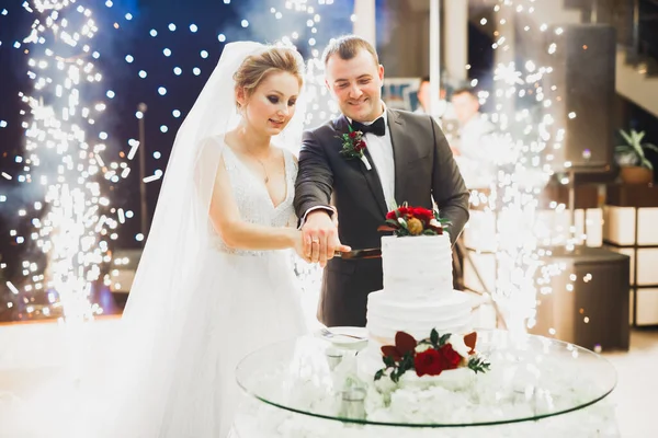 Novia y novio en la boda de corte de la torta de boda — Foto de Stock