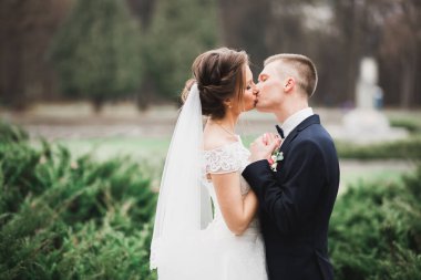 Güzel gelin ve damat düğün günlerinde kucaklaşıp öpüşürler.
