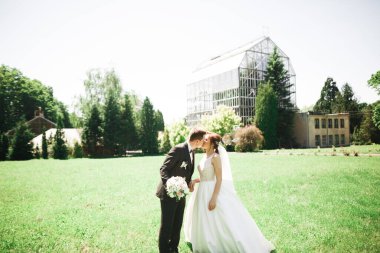 Güzel gelin ve damat evlendikleri gün kucaklaşıp öpüşüyorlar.