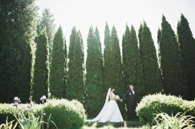 Botanik parkında yürüyen mutlu bir çift.