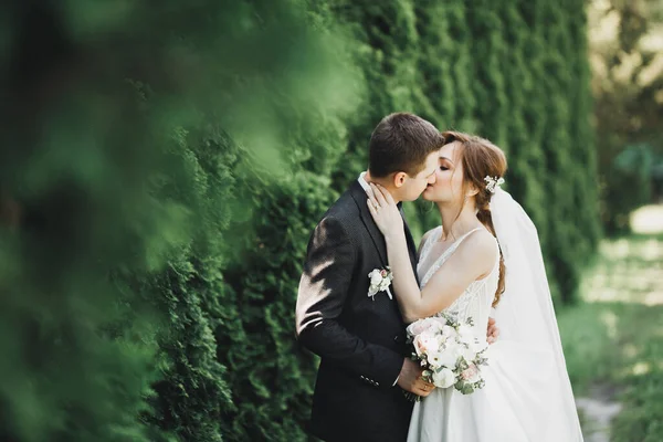 Beautiful bride and groom embracing and kissing on their wedding day outdoors — Stock Photo, Image