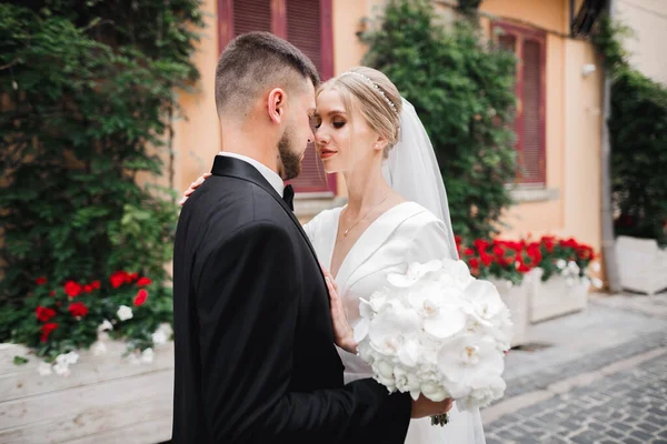 Romantik düğün anı, yeni evli çiftin gülümseyen portresi, gelin ve damadın kucaklaşması — Stok fotoğraf