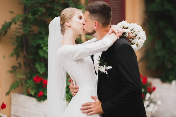 美しい花嫁と新郎の抱擁とキスで彼らの結婚式の日 — ストック写真