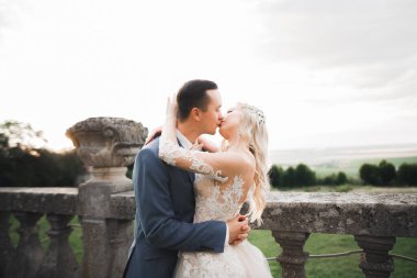 Romantik düğün anı, yeni evli çiftin gülümseyen portresi, gelin ve damadın kucaklaşması