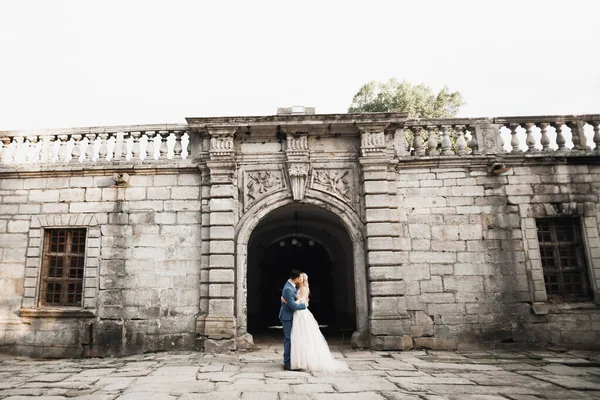 Romantik düğün anı, yeni evli çiftin gülümseyen portresi, gelin ve damadın kucaklaşması — Stok fotoğraf