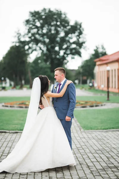 La pareja de boda en la naturaleza se está abrazando. Hermosa modelo chica en vestido blanco. Hombre de traje — Foto de Stock