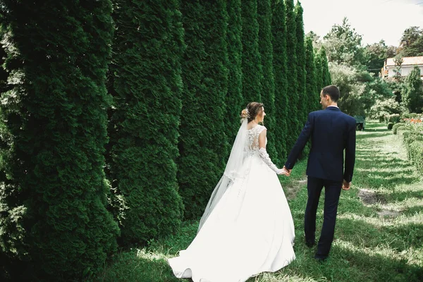 Pareja feliz boda caminando en un parque botánico —  Fotos de Stock