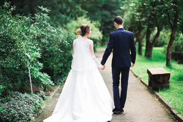 Щаслива весільна пара гуляє в ботанічному парку — стокове фото