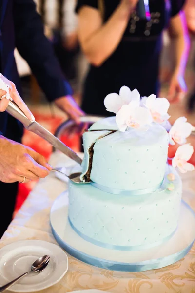 Жених и невеста на свадьбе режут свадебный торт — стоковое фото