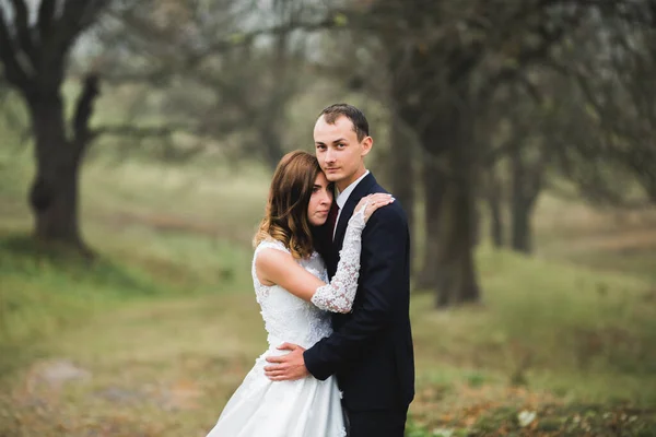 Romantisch, sprookje, gelukkig pasgetrouwd stel knuffelen en kussen in een park, bomen op de achtergrond — Stockfoto