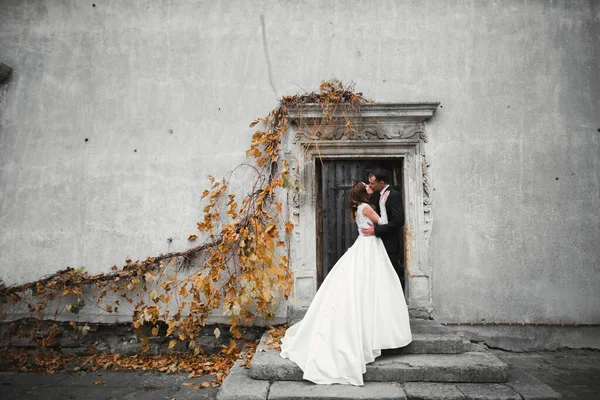 Güzel gelin ve damat evlendikleri gün kucaklaşıp öpüşüyorlar.