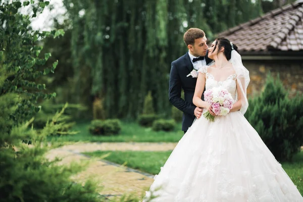 Beautiful bride and groom embracing and kissing on their wedding day outdoors — Stock Photo, Image