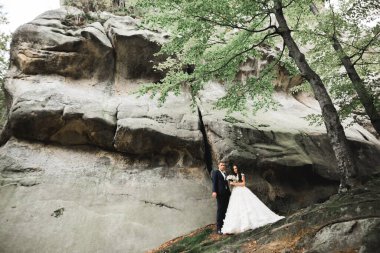 Harika bir gelin damada poz veriyor ve harika manzaralı dağlarda eğleniyor. Mesajlaşacak yer, düğün çifti.