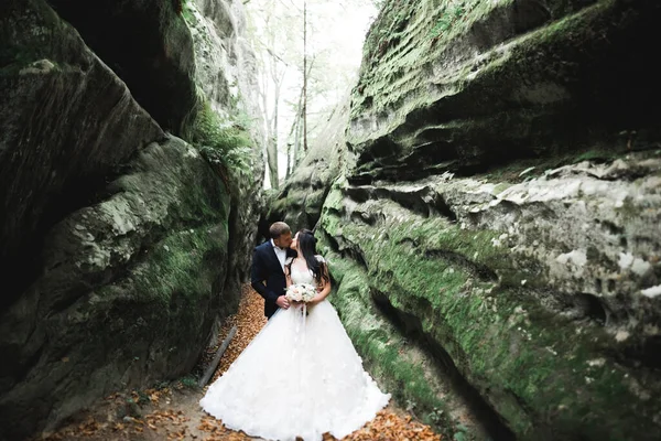 結婚式のカップルで愛キスと抱擁近くの岩で美しい風景 — ストック写真