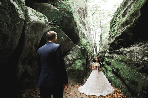 Joyeux couple de mariage marchant dans un parc botanique — Photo