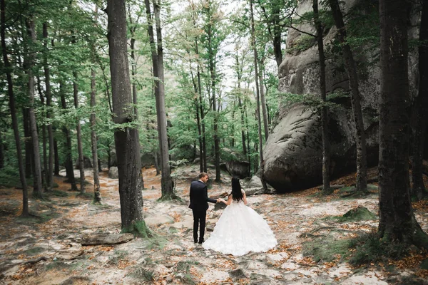 Joyeux couple de mariage marchant dans un parc botanique — Photo
