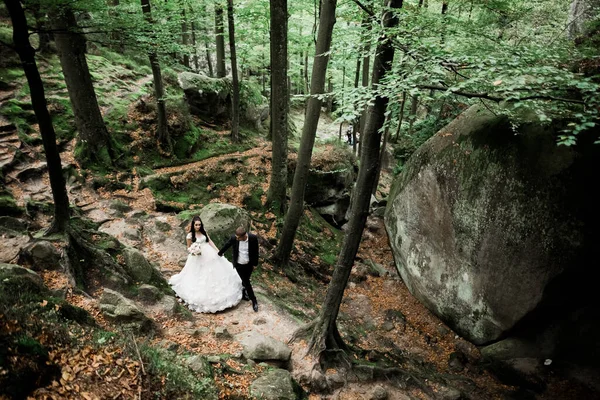 Romantisches, märchenhaftes, glückliches Brautpaar, das sich im Park umarmt und küsst, Bäume im Hintergrund — Stockfoto