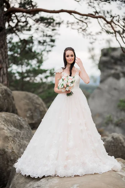 Bela noiva posando perto de rochas contra fundo as montanhas — Fotografia de Stock