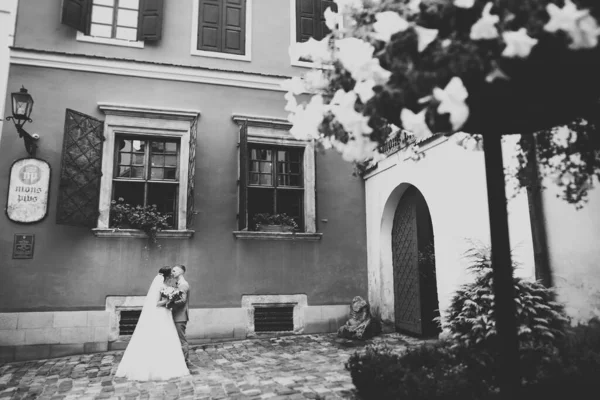 Belle mariée et marié embrasser et embrasser le jour de leur mariage à l'extérieur — Photo