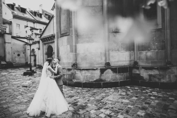 Belle mariée et marié embrasser et embrasser le jour de leur mariage à l'extérieur — Photo