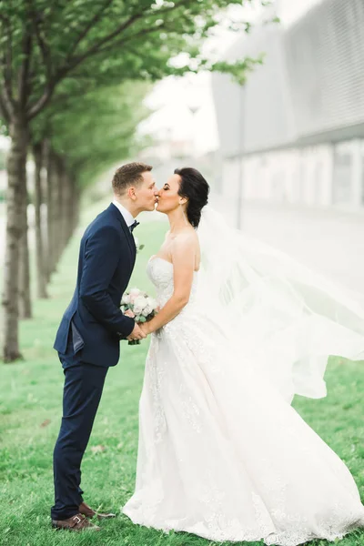 Krásná nevěsta a ženich objímání a líbání na jejich svatební den venku — Stock fotografie