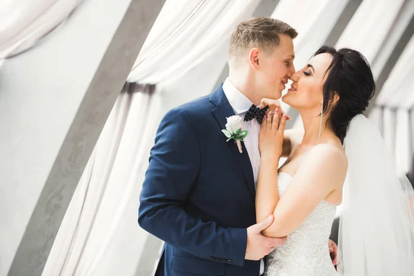 Beautiful bride and groom embracing and kissing on their wedding day — Stock Photo, Image