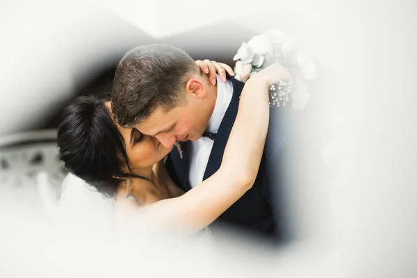 Beautiful bride and groom embracing and kissing on their wedding day Stock Image