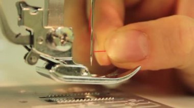 Arka planda huş ağaçlarının yaprakları