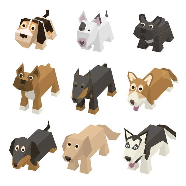 Serie vettoriale di cani isometrici di razza diversa — Vettoriale Stock