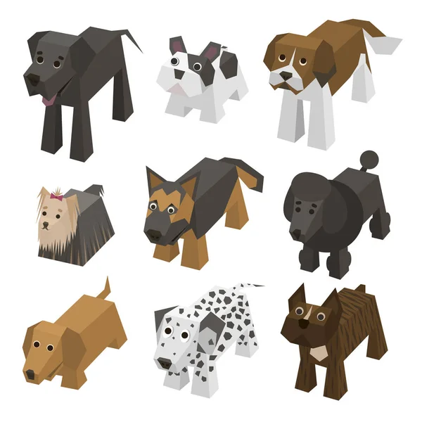 Vettore di razza diversa cani isometrici — Vettoriale Stock