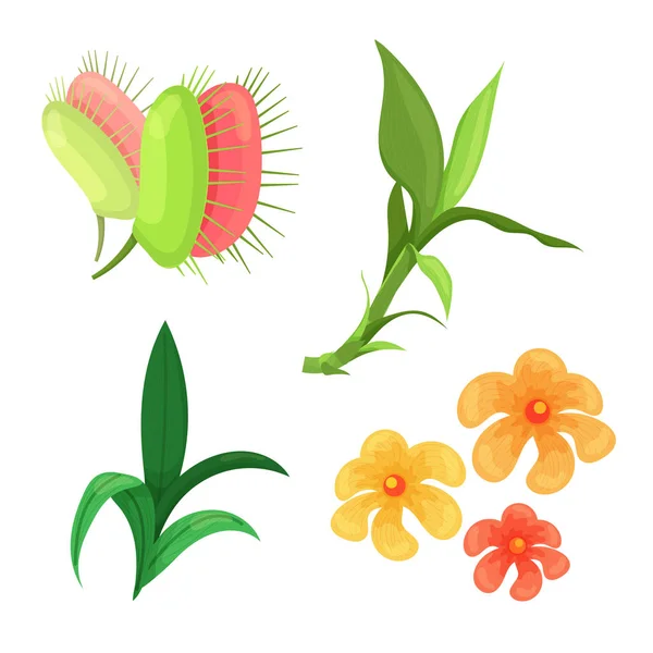 Hermosas hojas y flores de la selva — Vector de stock